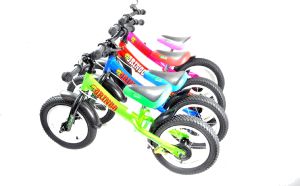 Rowerek biegowy SPARKY Rowerek Biegowy GRINGO zielony 3