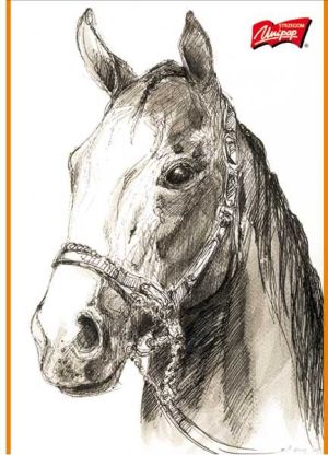 St. Majewski Szkicownik A4 20k biały 2