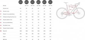 Kross Rower Trans 1.0 SR czarny/szary połysk 2021 Rozmiar: DL-19 2