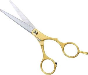 Aptel Hair Scissors Golden (Ag76b) 1