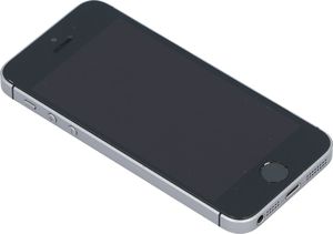 Smartfon Apple iPhone SE 2/16GB Szary Klasa A- A- (DX4SGJEEH2XJ) 6