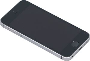 Smartfon Apple iPhone SE 2/16GB Szary Klasa A- A- (DX4SGKLMH2XJ) 5