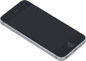 Smartfon Apple iPhone SE 2/16GB Szary Klasa A- A- (DX4SGKMBH2XJ) 4