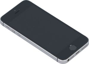 Smartfon Apple iPhone SE 2/16GB Szary Klasa A- A- (F17S70CRH2XJ) 6