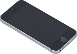 Smartfon Apple iPhone SE 2/16GB Szary Klasa A- A- (F17SGCXGH2XJ) 6