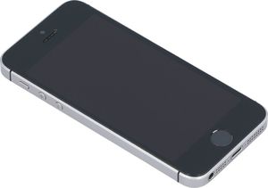 Smartfon Apple iPhone SE 2/32GB Szary Klasa A- A- (DX5V3T90HTVL) 6