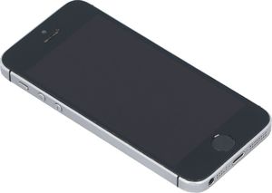 Smartfon Apple iPhone SE 2/64GB Szary Klasa A- A- (F17SDQFDH2XN) 7