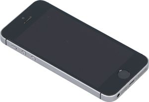 Smartfon Apple iPhone SE 2/64GB Szary Klasa A- (F17SDQTJH2XN) 6