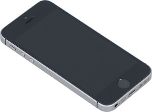 Smartfon Apple iPhone SE 2/64GB Szary Klasa A- A- (F18S5V0NH2XN) 7