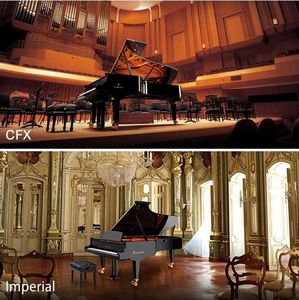 Yamaha Clavinova Clp-745 Pe - Pianino Cyfrowe 12