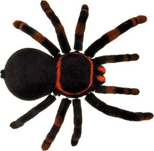Jokomisiada Zdalnie sterowany PAJĄK tarantula pilot RC0251 4