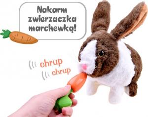 Jokomisiada Interaktywny zwierzaczek chrupaczek Królik ZA2685 3