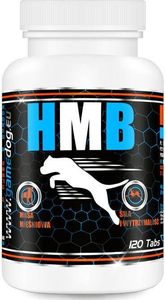 Game Dog Witaminy, suplementy dla psów HMB 120 tabletek 2