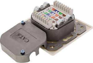 InLine Gniazdo Cat.6 ścienne, 2x RJ45, biały (75602K) 4
