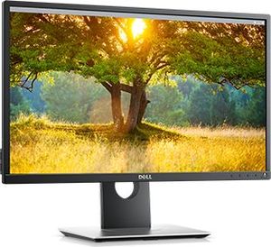 Monitor Dell Dell P2417H 1