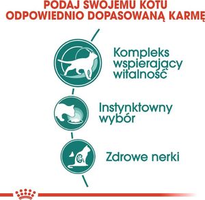 Royal Canin ROYAL CANIN Instinctive +7 w sosie 12x85g 4