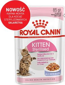 Royal Canin Karma FHN Kitten Sterilised gala 12x85g 4