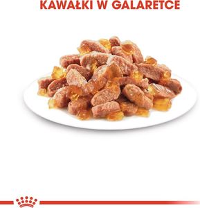 Royal Canin Karma FHN Kitten Sterilised gala 12x85g 7