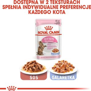 Royal Canin Karma FHN Kitten Sterilised gala 12x85g 9