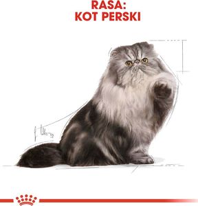 Royal Canin Karma ROYAL CANIN FBN Persian Adult pasztet 12x85g 2