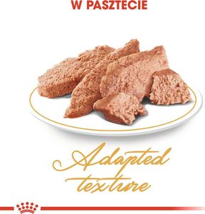 Royal Canin Karma ROYAL CANIN FBN Persian Adult pasztet 12x85g 3