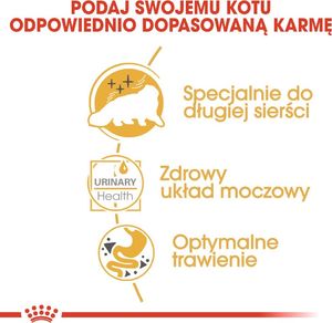 Royal Canin Karma ROYAL CANIN FBN Persian Adult pasztet 12x85g 4