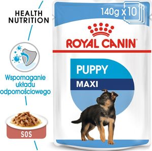 Royal Canin Karma Shn Maxi puppy w sosie 10x140 g 1