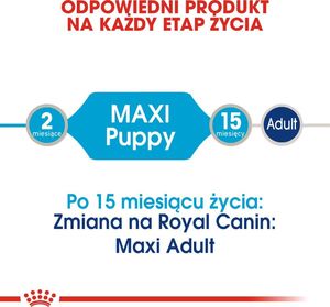 Royal Canin Karma Shn Maxi puppy w sosie 10x140 g 2