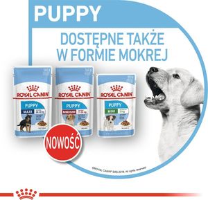 Royal Canin Karma SHN Mini Puppy w sosie 12x85g 10