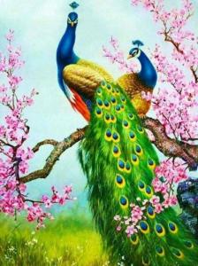 Norimpex Diamentowa mozaika Pawie 1004946 2