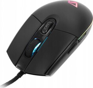 Mysz California Access Korat CA1063 3