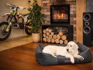 Hobbydog Legowisko Comfort, czarny, ekolen, r. XXXL 8