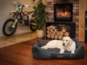 Hobbydog L COMFORT CZARNY EKOLEN 5