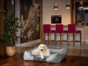 Hobbydog L COMFORT POPIEL 3