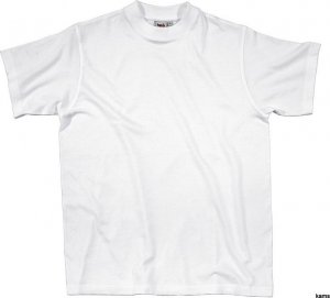 Delta Plus T-Shirt z bawełny (100%), 140G szary rozmiar S NAPOLGRPT 1
