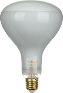V-TAC Żarówka LED V-TAC 8W Filament E27 R125 Ściemnialna VT-2198D 4000K 600lm 1