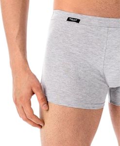 Teyli Wielopak bokserek męskich Levi szary 3XL Szary 6
