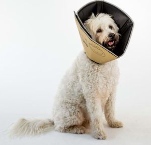 All Four Paws Kołnierz ochronny dla psa Comfy Cone, S, 14 cm, brązowy 1