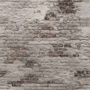 DUTCH WALLCOVERIN DUTCH WALLCOVERINGS Fototapeta Old Brick Wall, szara 1