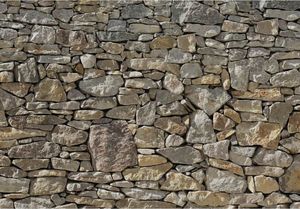 KOMAR Komar Fototapeta Stone Wall, 368 x 254 cm, 8-727 1