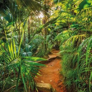 KOMAR Komar Fototapeta Jungle Trail, 368 x 254 cm 1