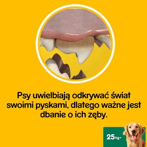 Pedigree PEDIGREE DentaStix (duże rasy) przysmak dentystyczny dla psów 24x270g (112+56 GRATIS) 4