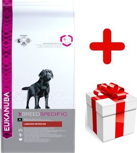 EUKANUBA Eukanuba adult labrador retriever 12kg + niespodzianka dla psa GRATIS! 1