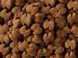 Eukanuba Eukanuba adult german shepherd 12kg + niespodzianka dla psa GRATIS! 3