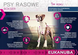 Eukanuba Eukanuba adult boxer 12kg + niespodzianka dla psa GRATIS! 4
