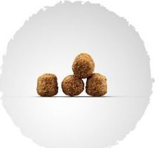 Josera Family Plus 15kg + przysmak Loopies 150g 2