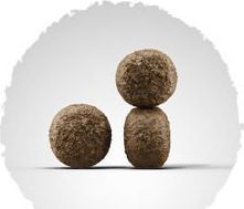 Josera High Energy 15kg + niespodzianka dla psa GRATIS! 2