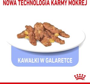 Royal Canin ROYAL CANIN Indoor Sterilised Jelly saszetka 12x85g 4