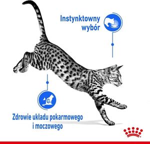 Royal Canin ROYAL CANIN Indoor Sterilised Jelly saszetka 12x85g 8