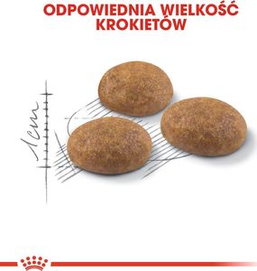 Royal Canin Outdoor 30 20kg 5